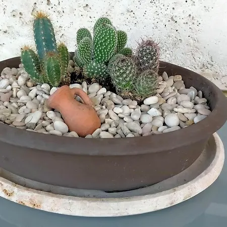 La Casa Smart Zona Stadio Appartamento *