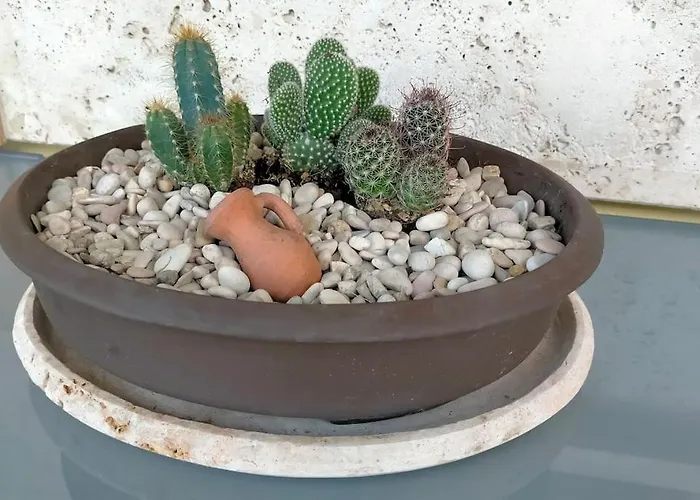 La Casa Smart Zona Stadio Διαμέρισμα *